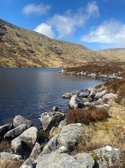 Ronja in Irland